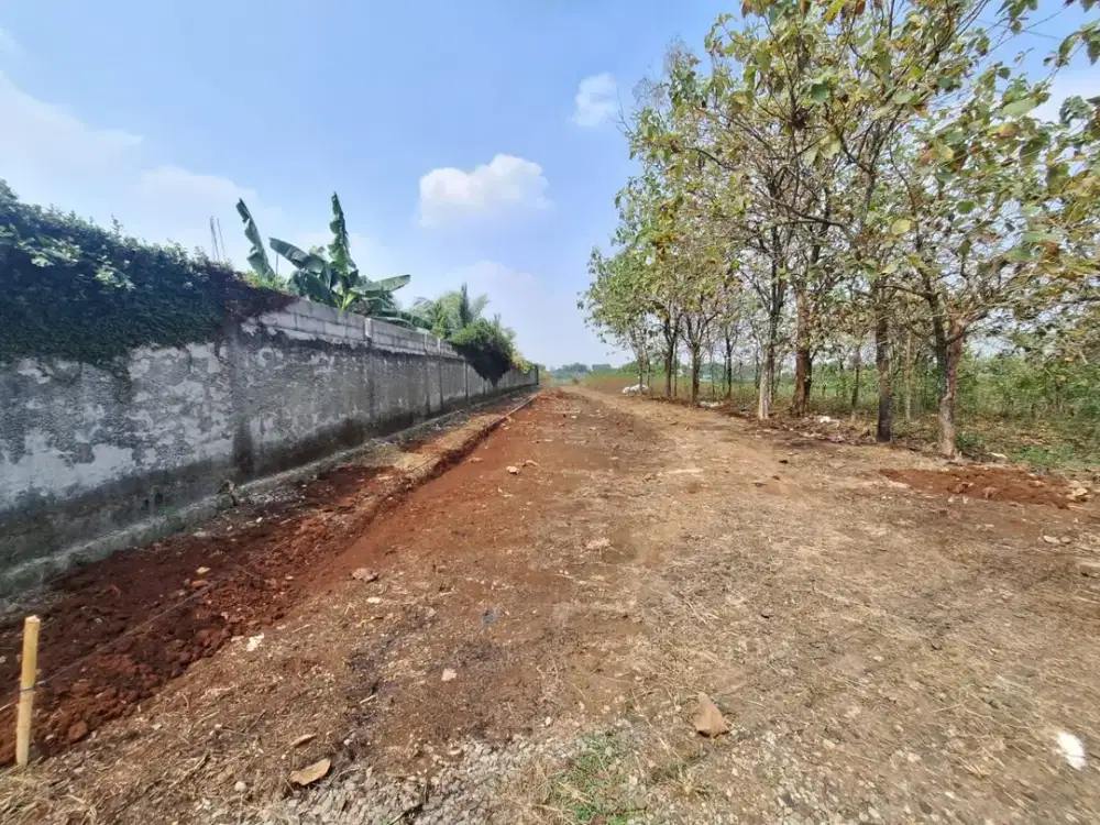 Tanah SHM 100Jtan Dekat Calon Tol Bomang - Strategis Invest/Hunian