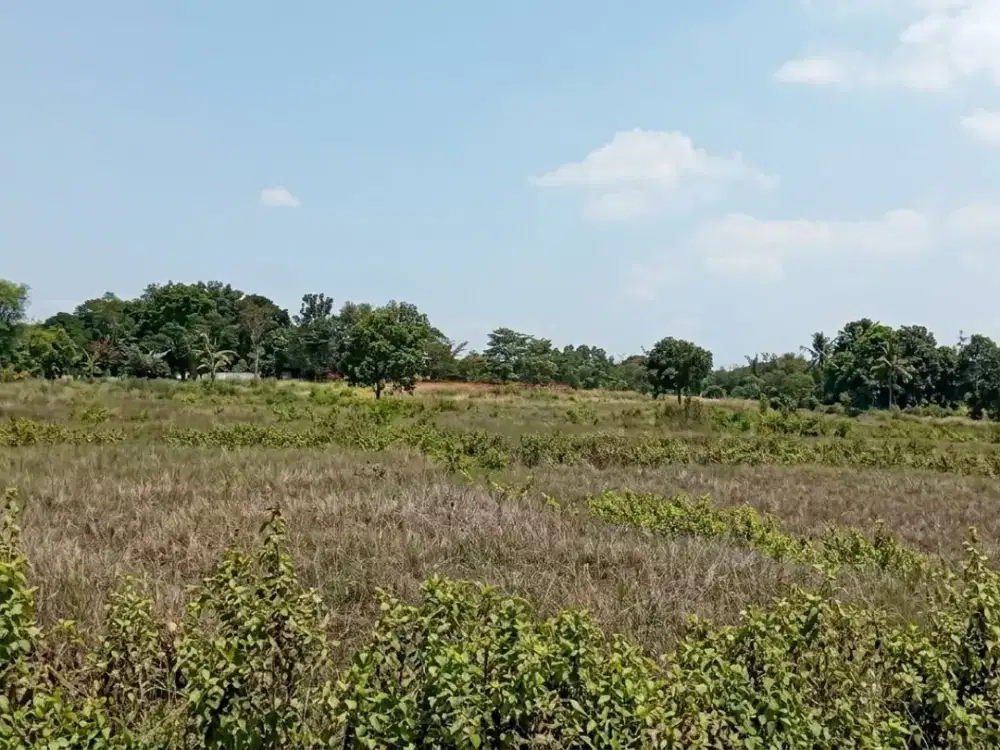 INVESTASI INDUSTRI STRATEGIS! Lahan 104.000 m², Legalitas SHM & SHGB