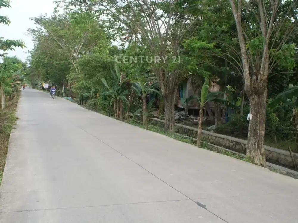 Dijual Tanah Sawah POLOSIRIH Desa Sukajadi Sukatani