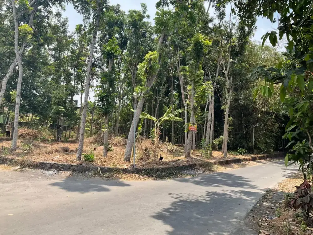 Dijual Tanah Lokasi Strategis di  Randusari Prambanan Klaten, Akses Mudah ke Tol Jogja-Solo