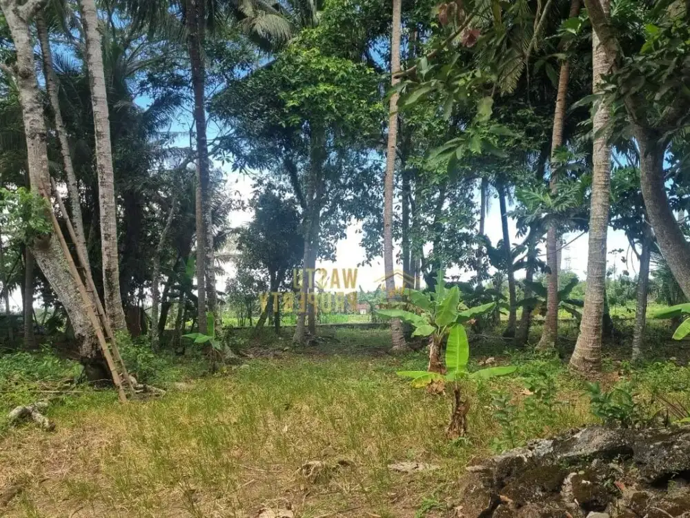 Tanah Pekarangan Nuansa Pedesaan di Wates Dekat Bandara YIA