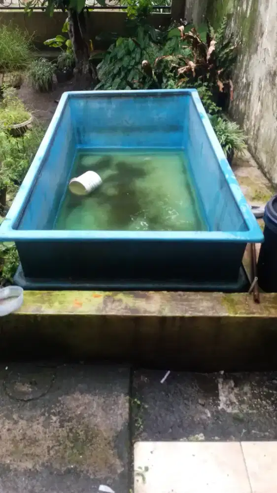 kolam bak fiber 2x1x0.5m