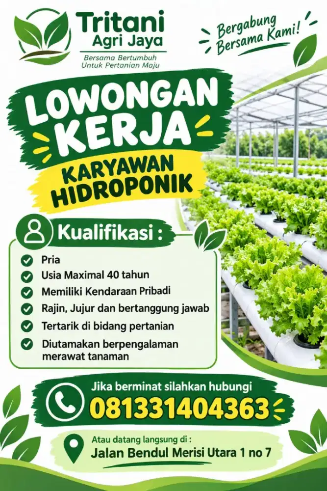 Dicari karyawan hidroponik