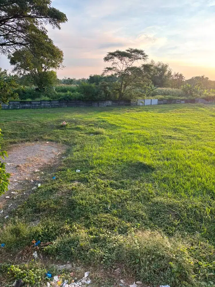 Dijual tanah kavling Citraland Waterfront Surabaya Barat