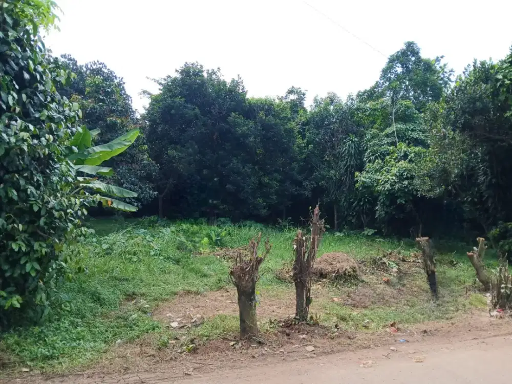 Dijual Tanah Strategis – Setu, Kabupaten Bekasi