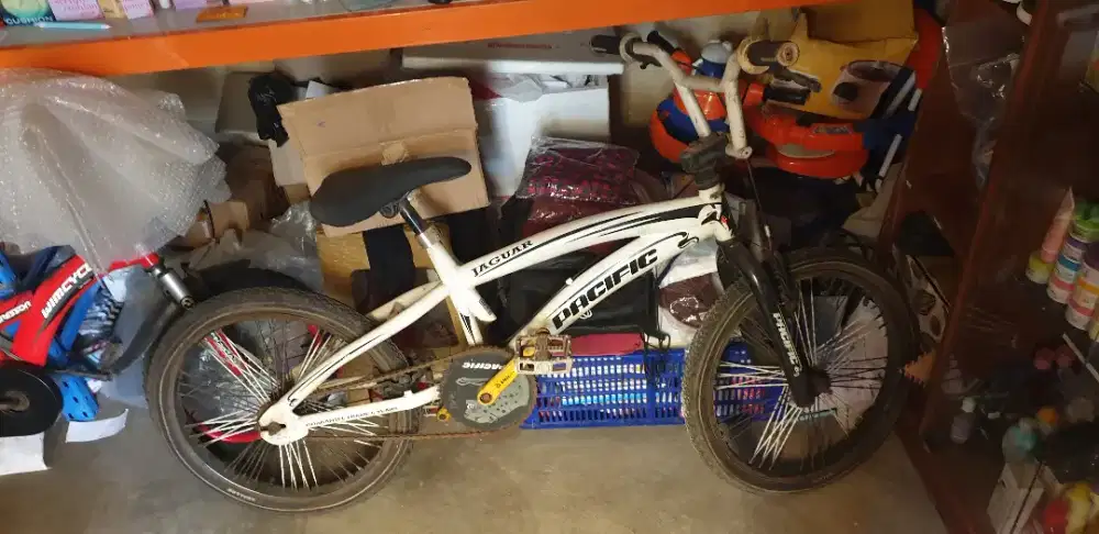 Sepeda Pacific Jaguar BMX 20 inch