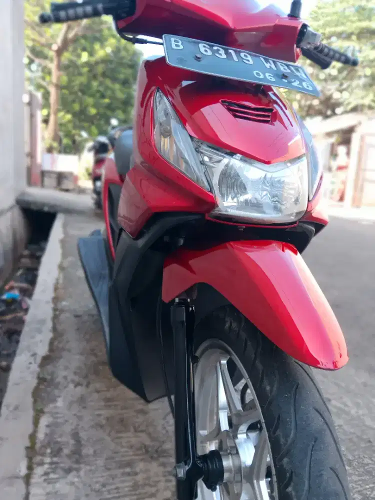 Beat karbu standar ori