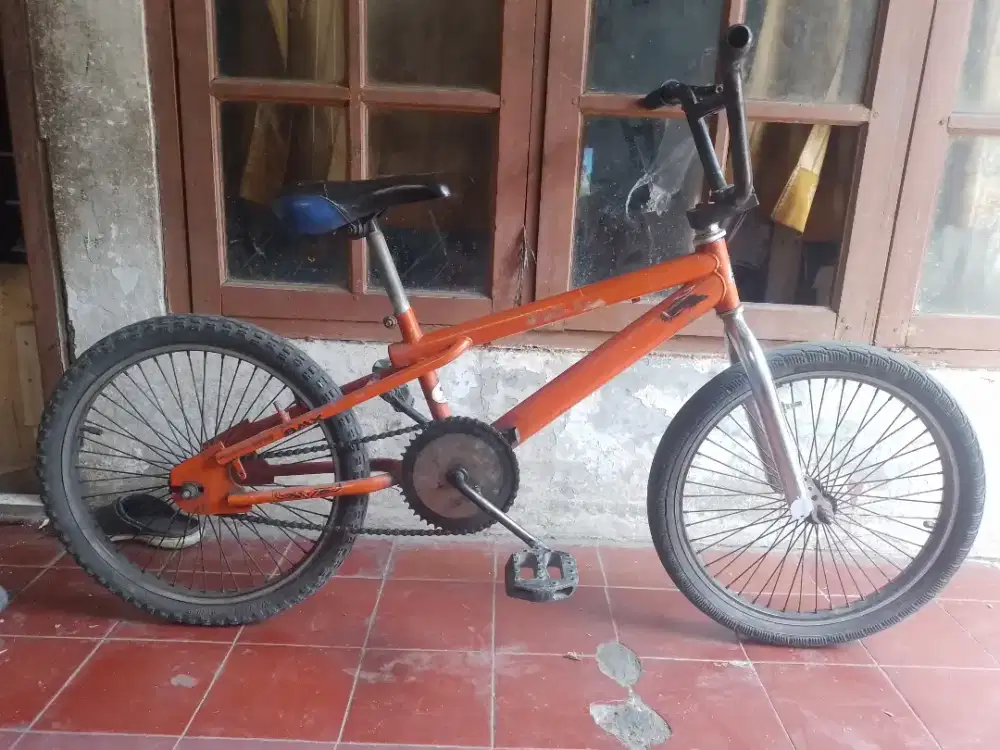Sepedah anak 20