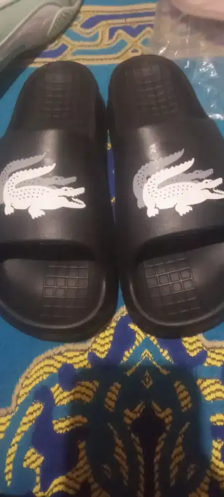 Lacoste crocodile