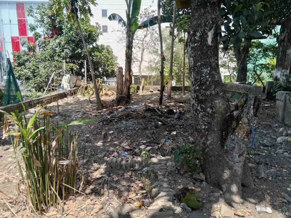 TANAH PEKARANGAN DI KAWASAN PREMIUM
