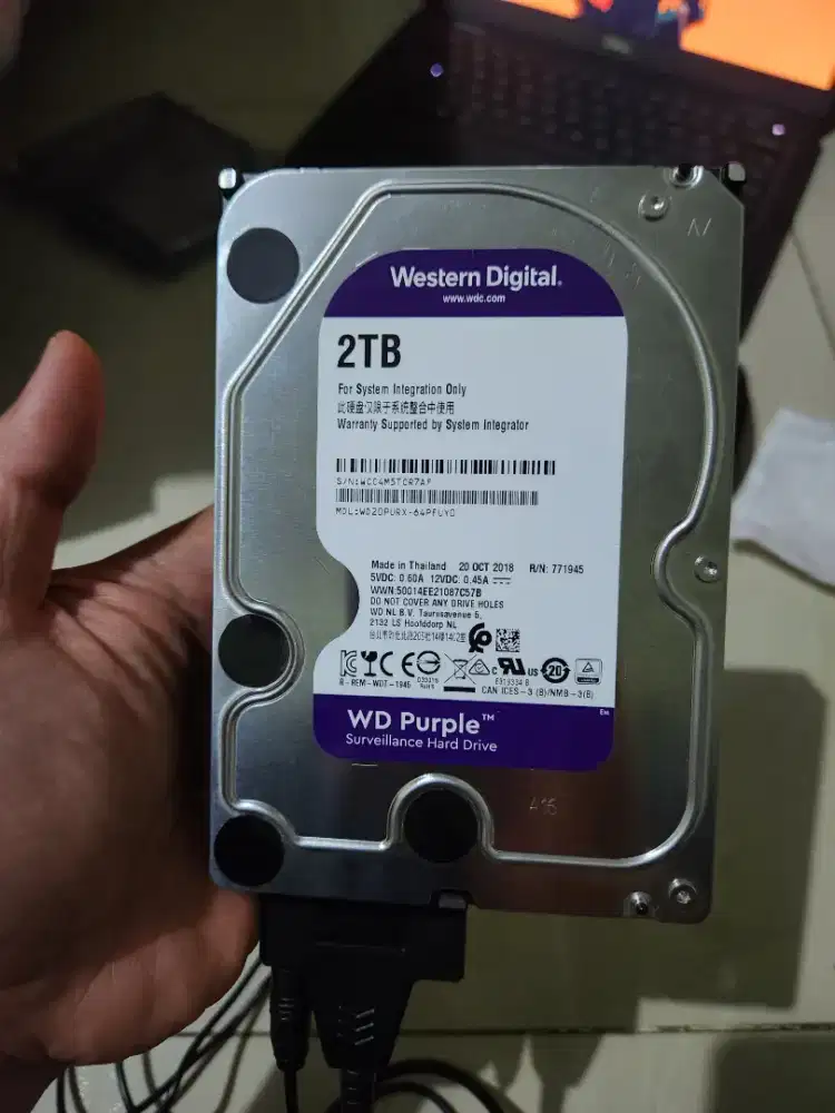 HDD WD PURPLE 2 TB MULUS