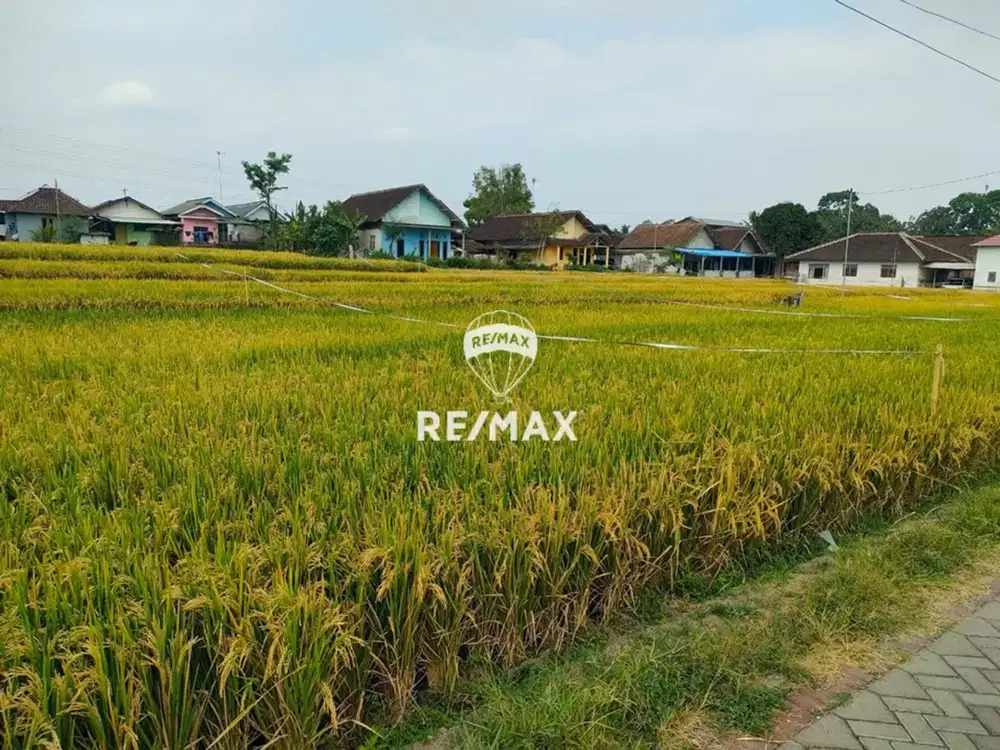 DIJUAL!!Lahan Kebun Produktif Strategis -Kec.Glenmore,Banyuwangi