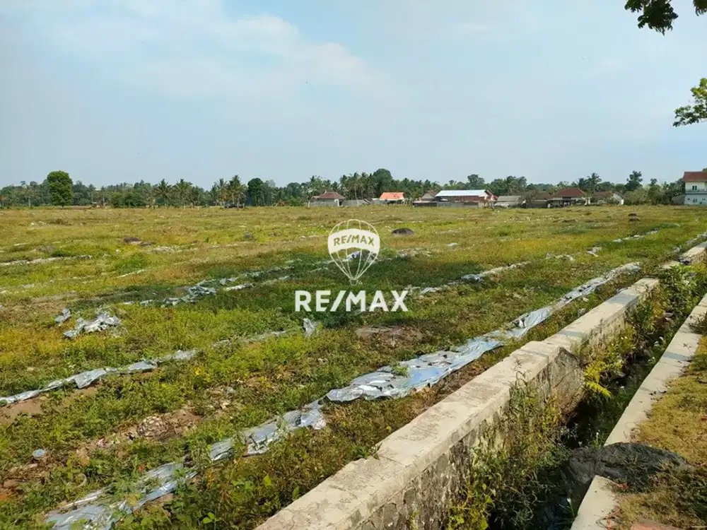 DIJUAL!!Lahan Kebun Produktif Strategis - Ds.Sumber Godong Glenmore,Banyuwangi