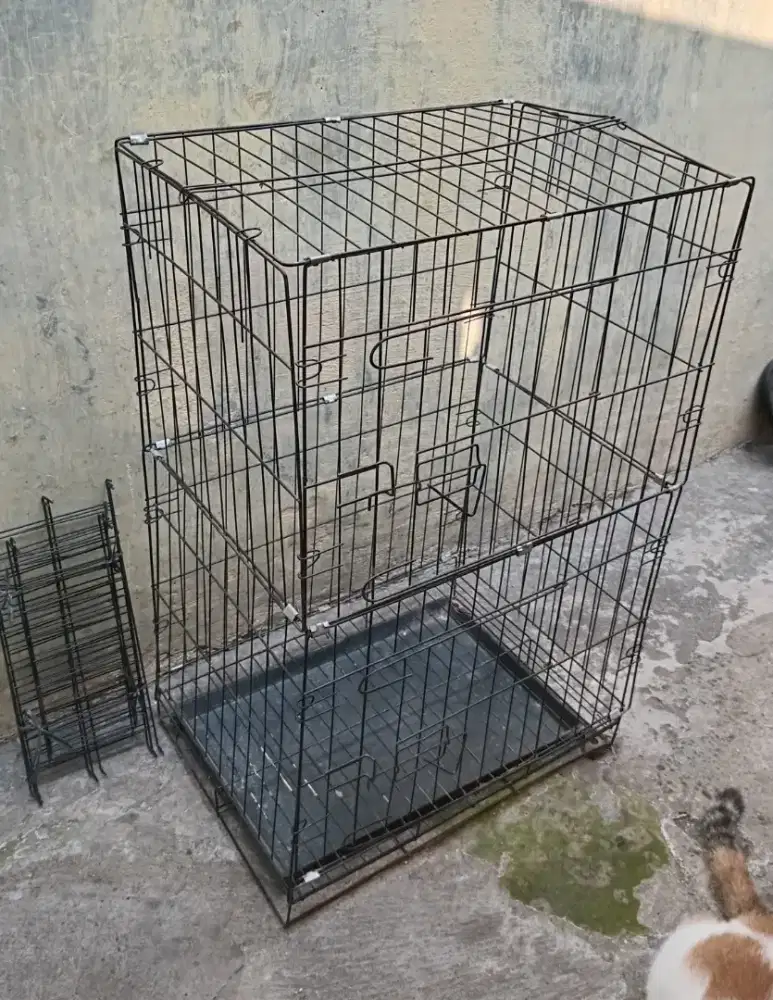 Kandang Kucing Bekas