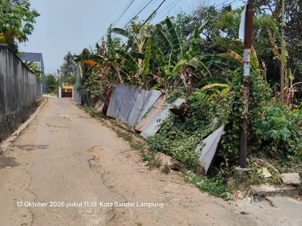 Dijual tanah kebun