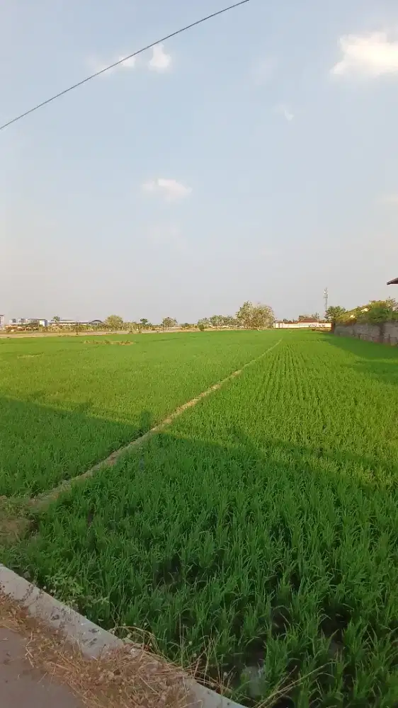 DI JUAL TANAH DI RING ROAD BARAT MADIUN KOTA