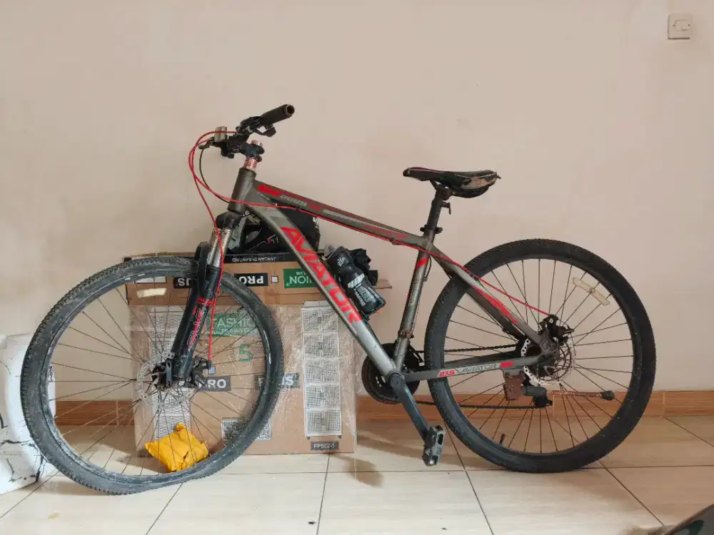 Sepeda Aviator 275