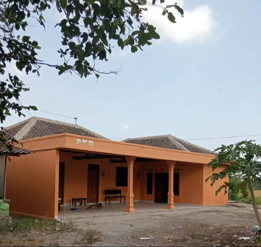 Disewakan/ Dikontrakkan Rumah dengan Suasana Pedesaan yang Asri