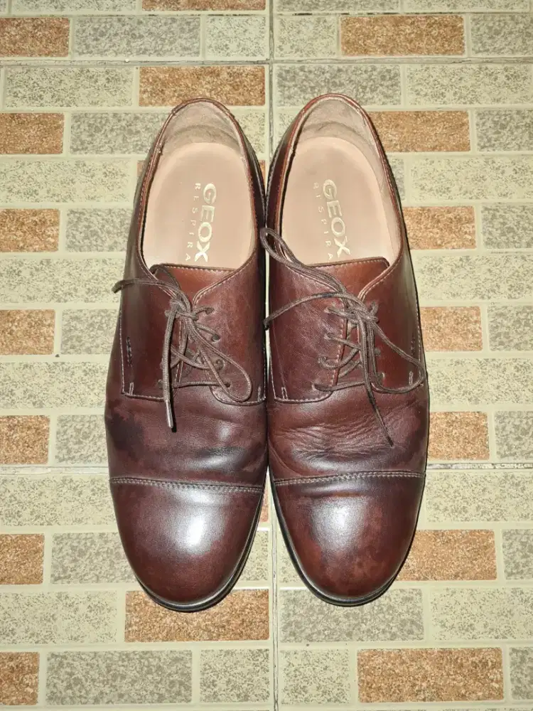 Jual Sepatu Geox Brown