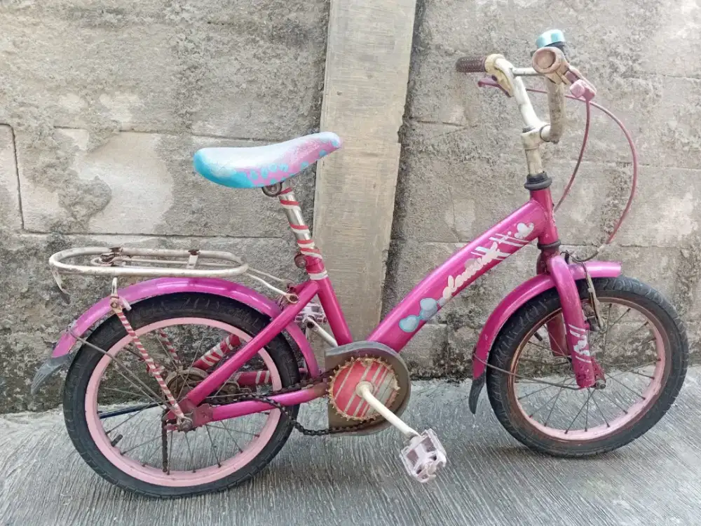 Sepeda bekas kecil