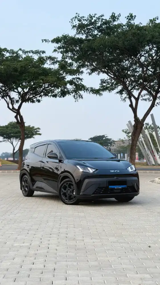 BYD ATTO 1 DYNAMIC CBU THN 2025