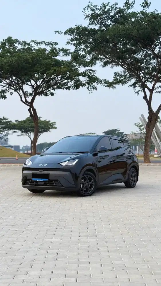BYD ATTO 1 DYNAMIC CBU THN 2025