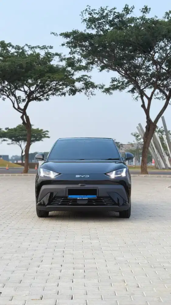 BYD ATTO 1 DYNAMIC CBU THN 2025