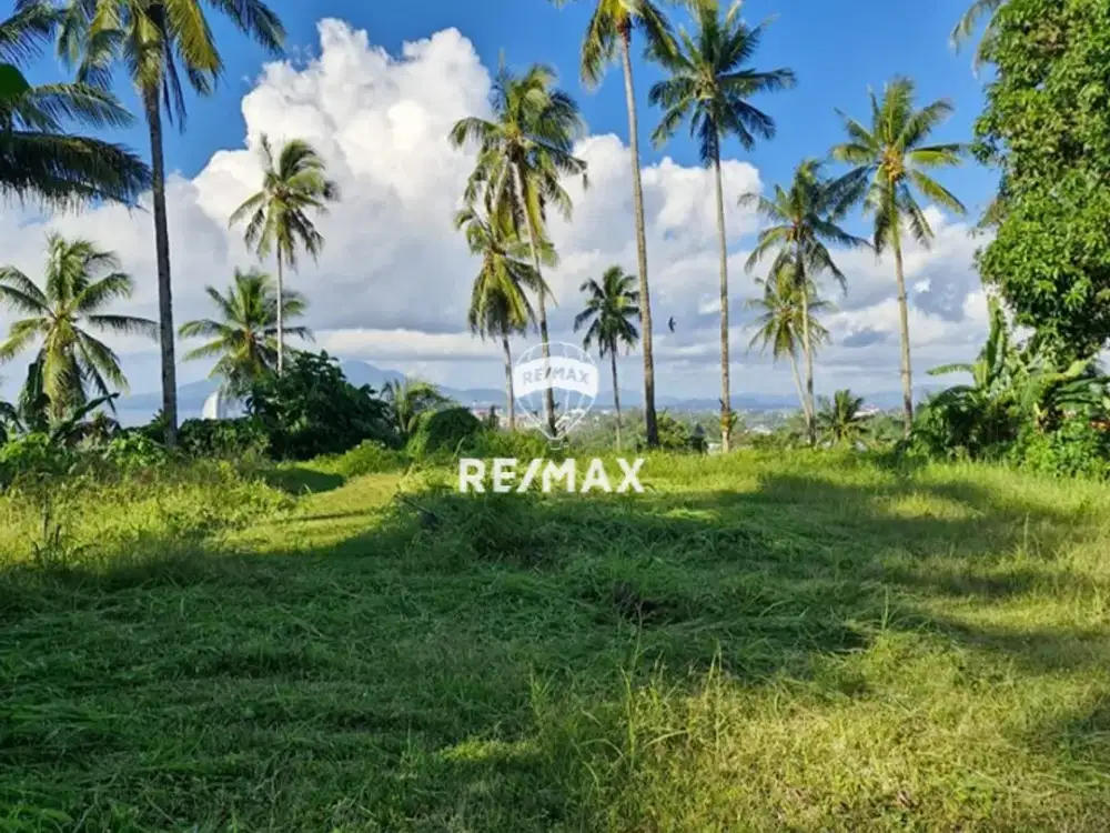 Dijual Tanah 6 Ha View Laut dan Kota Manado - Bisa Beli Sebagian