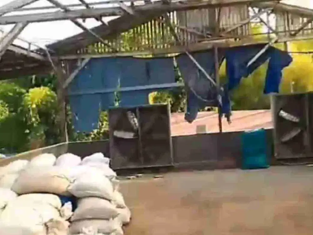 DI JUAL PABRIK PUPUK AKTIF BESERTA ALAT & MANAGEMEN PERUSAHAAN DI SUKOREJO - PASURUAN

SUKOREJO - Pasuruan
