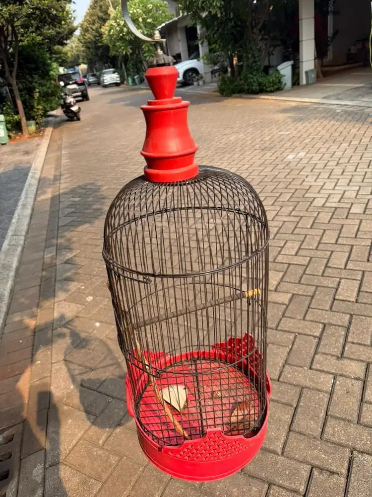 Kandang Burung Merah