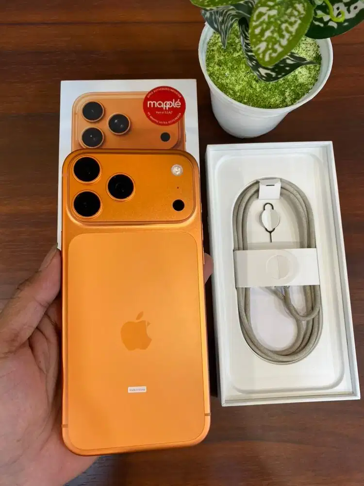 iPhone 17 Pro Max 256GB Orange iBox