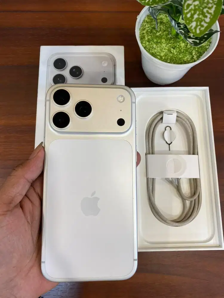 iPhone 17 Pro Max 256GB Silver Inter Beacukai