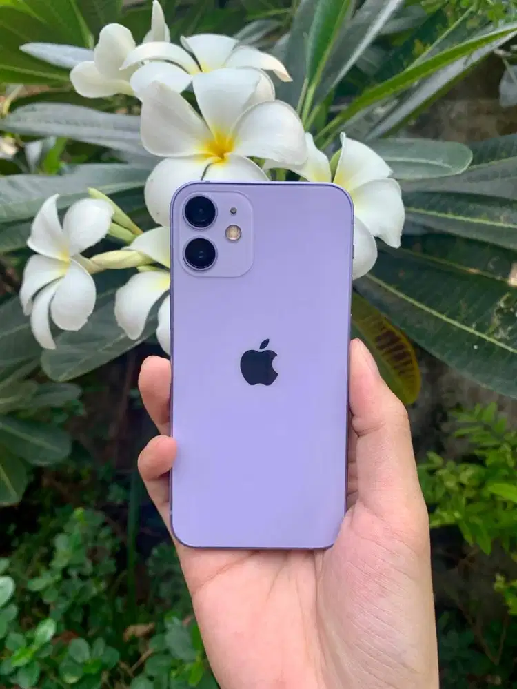 IPhone 12 128GB all operator