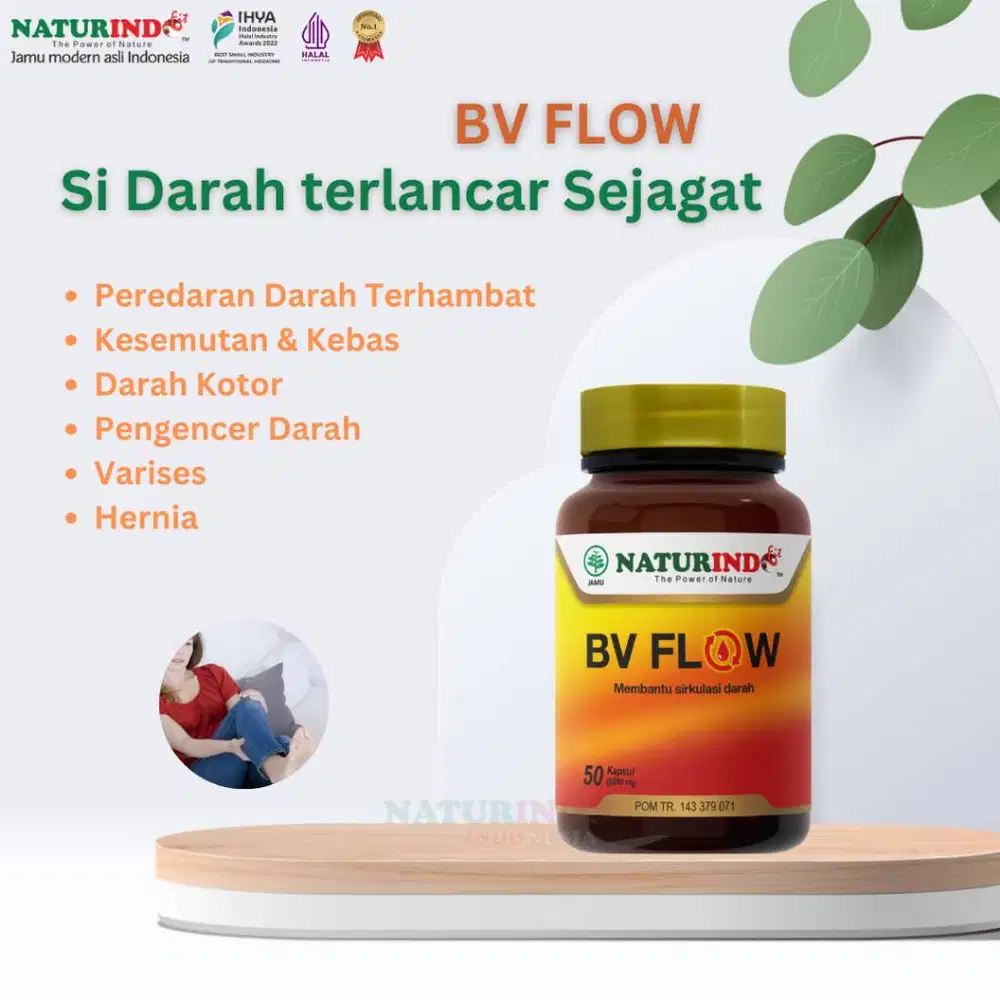 Jamu Modern Naturindo BV Flow Pelancar Darah