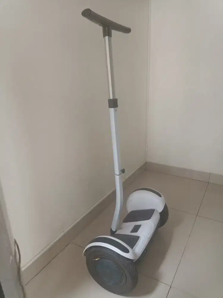 Hoverboard Roda 10 inchi
