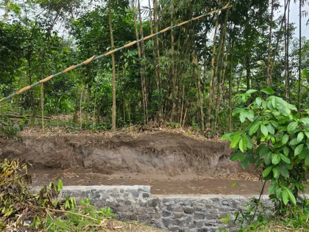 TANAH PEKARANGAN LUAS MURAH DI PAKEM PURWOBINANGUN JL KALIURANG SLEMAN YOGYAKARTA