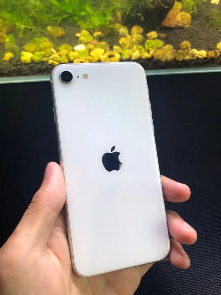 iPhone SE gen2 128gb inter All operator