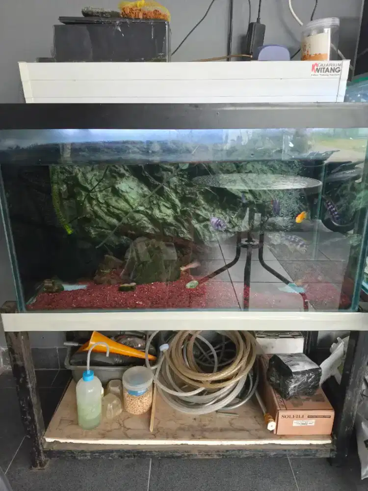 Aquarium 80*40*40 full set plus Rak