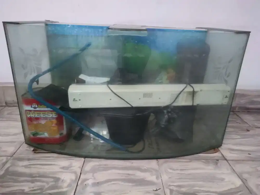 Akuarium kaca lengkung