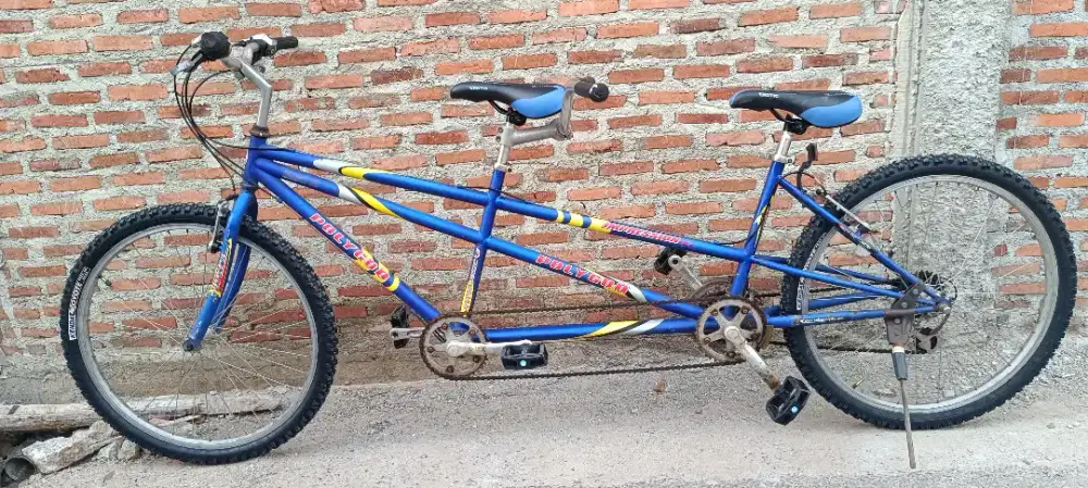 SEPEDA TANDEM POLYGON IMPRESION ORIGINAL
