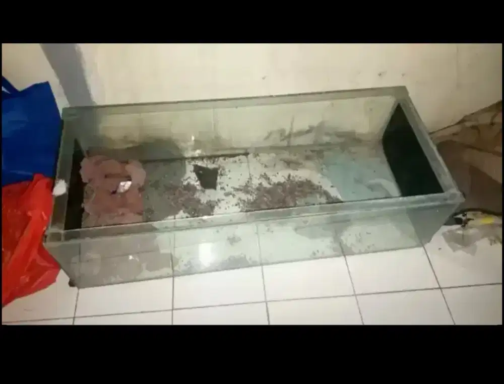 Jual semua aquarium