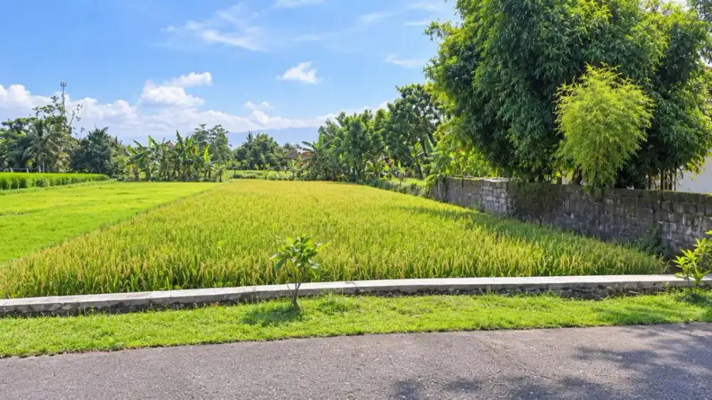 DIJUAL CEPAT TANAH SAWAH SHM