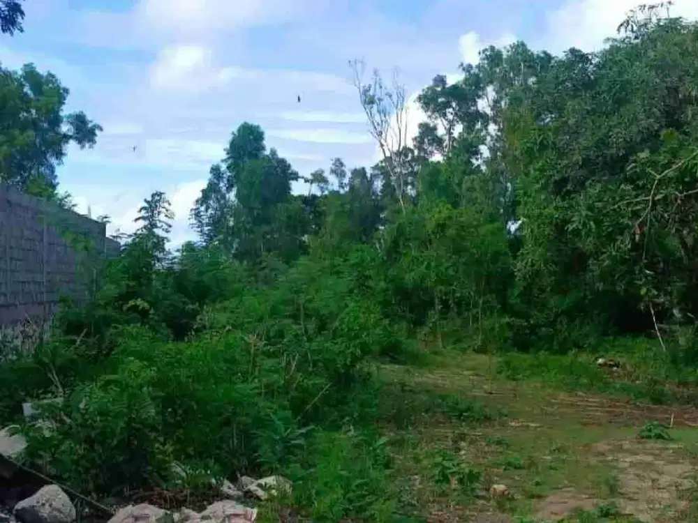 Tanah Sewa Pecatu dkt Pantai Bingin dan Uluwatu Kuta Selatan
