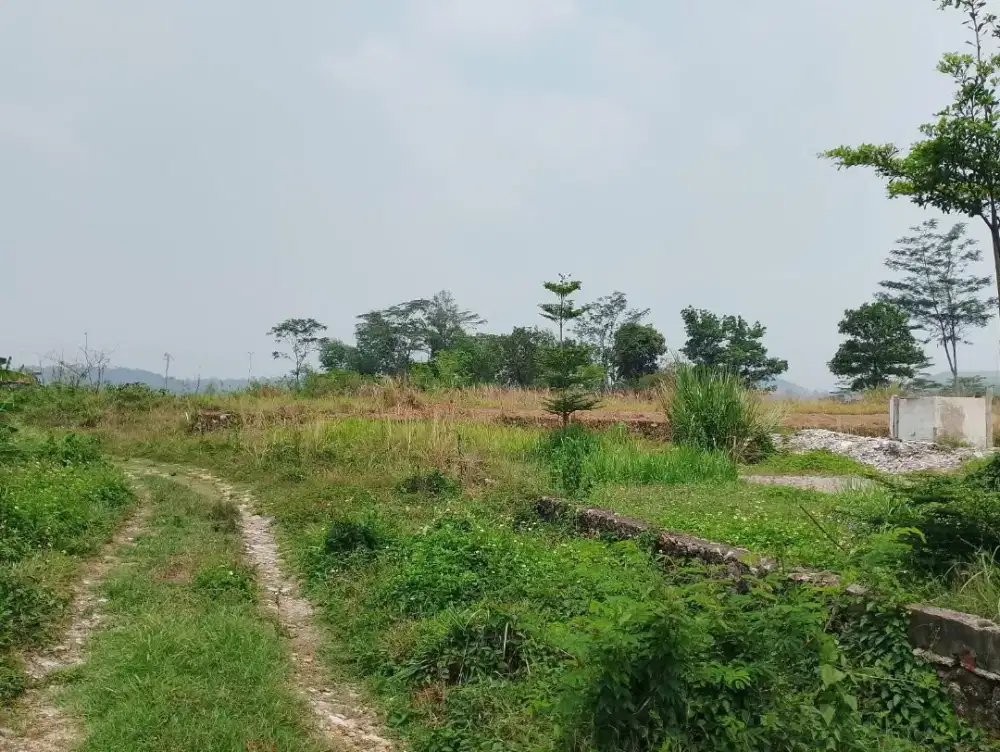 DIJUAL CEPAT Tanah - Sodong - SHM - Harga nego