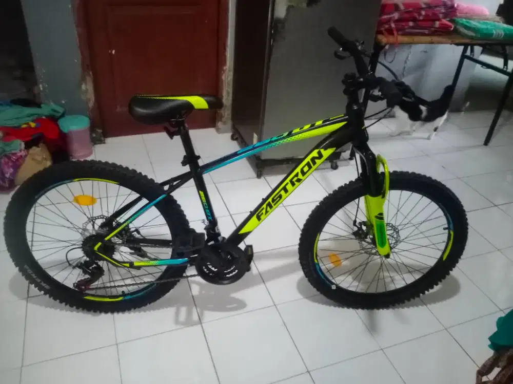 Sepeda MTB Fastron FT26-26 inch