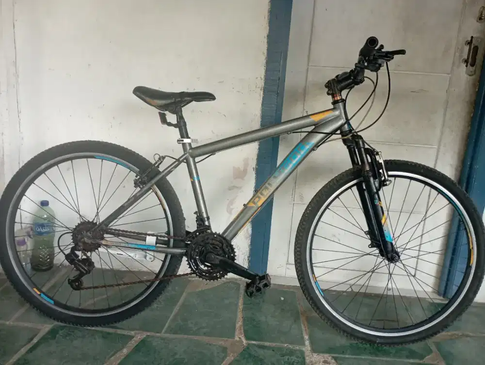 polygon monach mtb