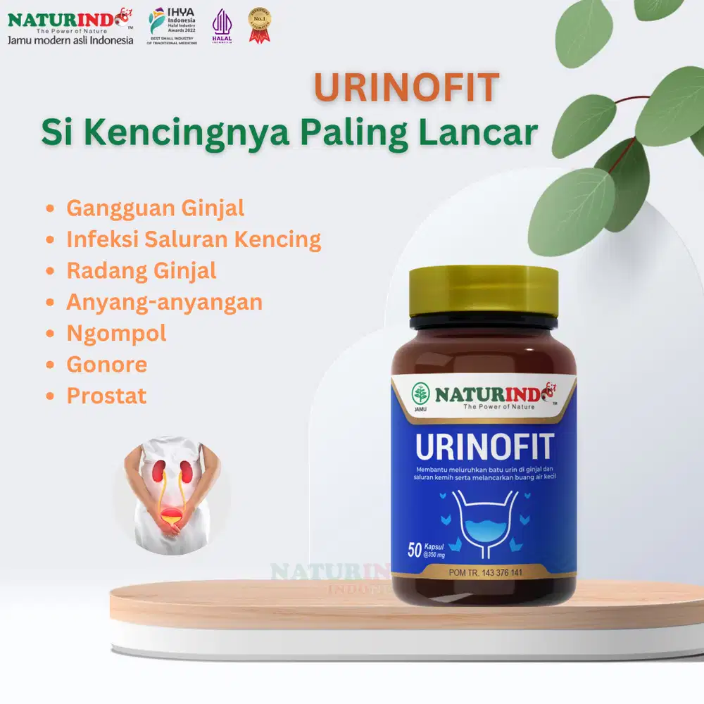 Jamu Modern Naturindo Uricofit Mengatasi Asam Urat dan Nyeri Sendi