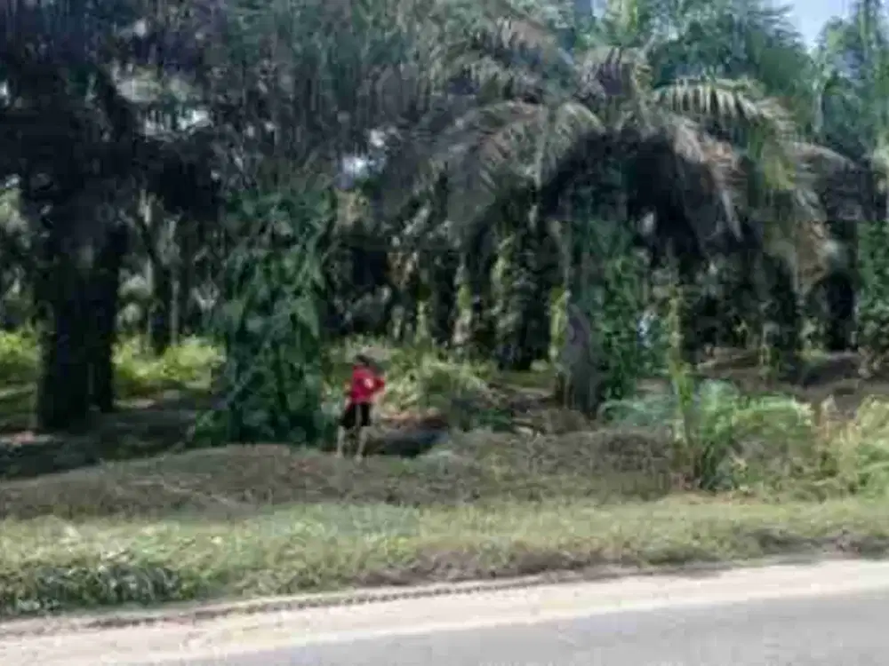 Jual Cepat Tanah di Jl. Garuda Sakti KM 18, Pekanbaru