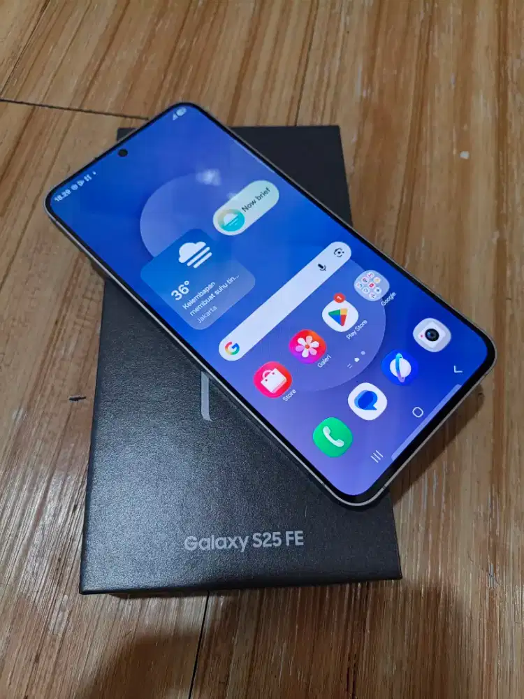Samsung s25 FE  sein