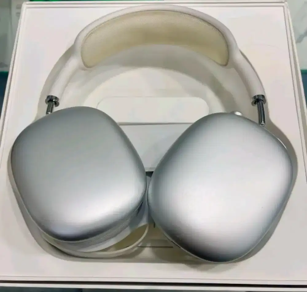 Apple AirPods Max Generasi-1 2020

Silver Mulus - Default